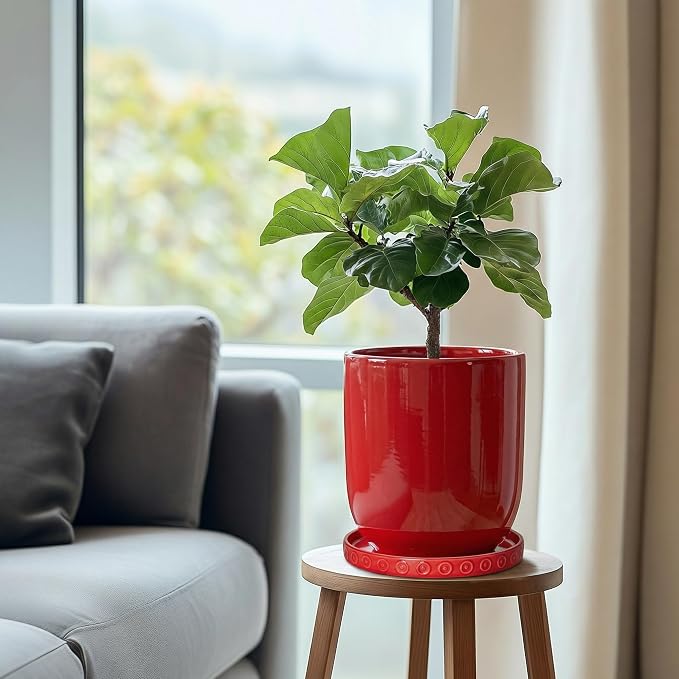 Eightpot Plant Water Catcher Tray, Ceramic Plant Saucer, 7.5 Inch Plant Pot Saucers for Indoor Outdoors, Round Plants Plates to Catch Water, Modern Decorative Plants Dishes to Catch Water, Red