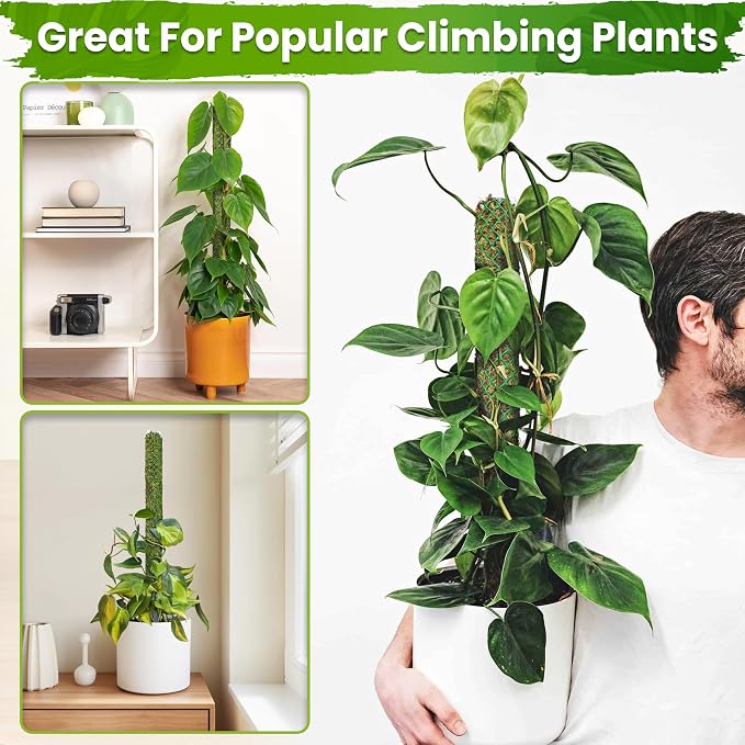 DUSPRO Self-Watering Natural Green Forest Moss Pole, Easy to Use Moss Sticks for Indoor Plants, Climbing Plant Support Stake with Self-Watering Feature, Moss Pole Monstera Plant Support 2pcs 23''