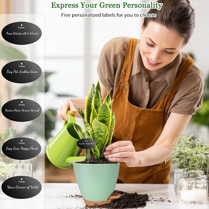 6 Inch Self Watering Pots for Indoor Plants(5-Pack) – Small Plastic Planters with Water Level Window, Drainage Holes & Detachable Trays, Indoor Outdoor Flower Pots for Herbs, Snake,Pothos (Green)