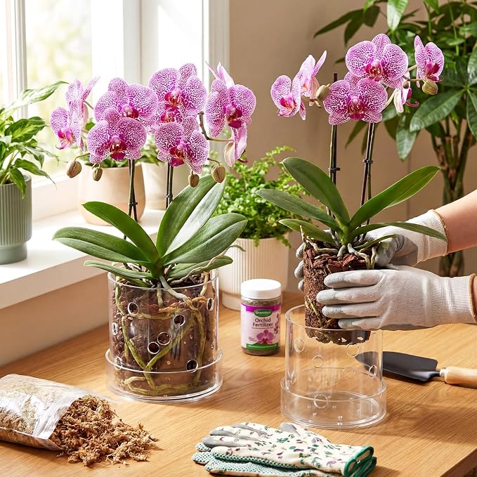 4 Inch 5 Inch Clear Acrylic Orchid Planter Pot with 360° Round Holes & Tray, Thick Acrylic Vented Planter for Phalaenopsis, Root Airflow, Bottom Watering & Indoor Orchid Repotting
