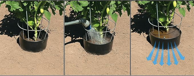 Planting Grow Rings 10 Pack – Interlocking Garden Plant Rings | Garden Rings for Plants Support and Soil Moisture Retention – Planting Rings for Outdoor Plants | Made in USA