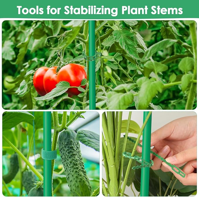 3 Pack Tomato Cage for Garden, Upgraded Fiberglass Garden Trellis with 3 PCS Grow Bags, Square Tomato Planter Support Garden Cages for Cucumber Vegetables Vertical Climbing Plants