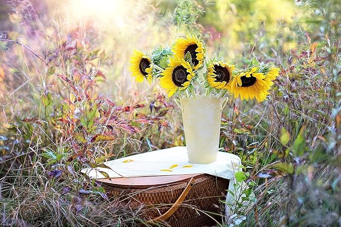 Set of 1000 Flower Seed Packets - Flower Seeds in Bulk - 15 or More Varieties Available - Great for Creating Colorful Gardens (1000)