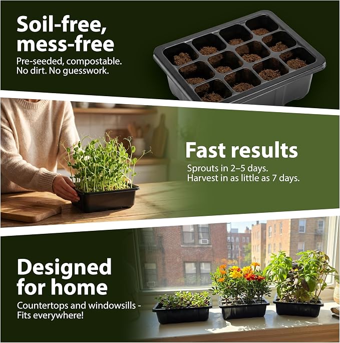 Seed Starter Kit with Humidity Dome – 12-Cell Indoor Pre-Seeded Seed Starting Tray with Basil & Microgreens – Complete Growing Kit with Seeds Included