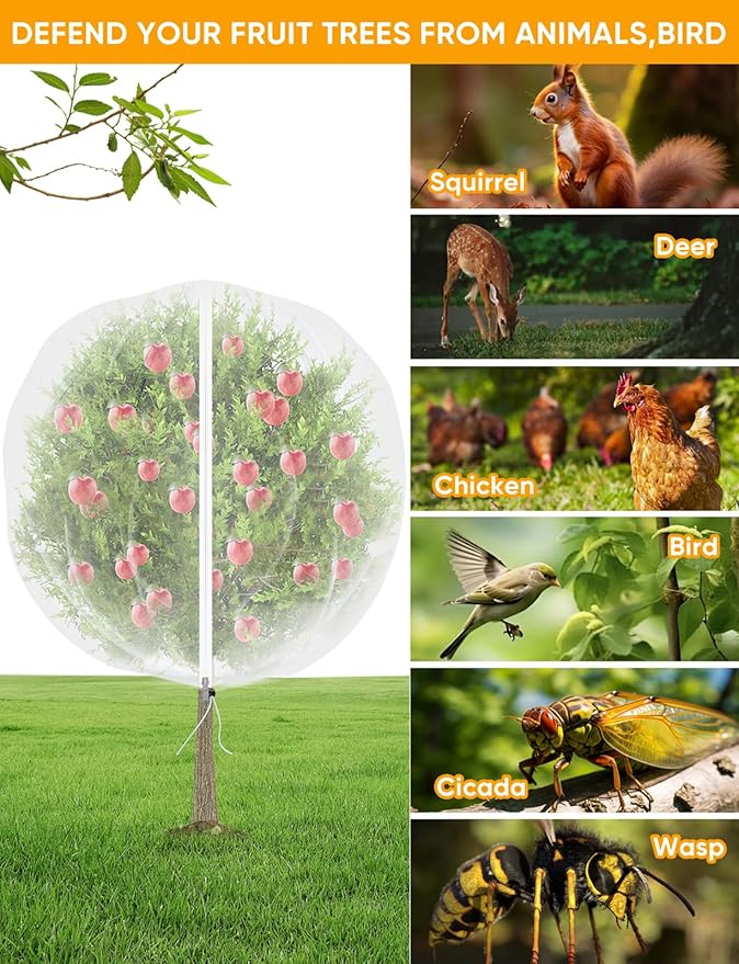 VITI Fruit Tree Netting for Cicadas - with 4Pcs 3.3Ftx3.3Ft Zipper&Drawstring Protection for Your Fruit Trees Garden Bird Netting Covers Blueberry Bush Tomato Bug Plant Protection Cherry Apple Tree