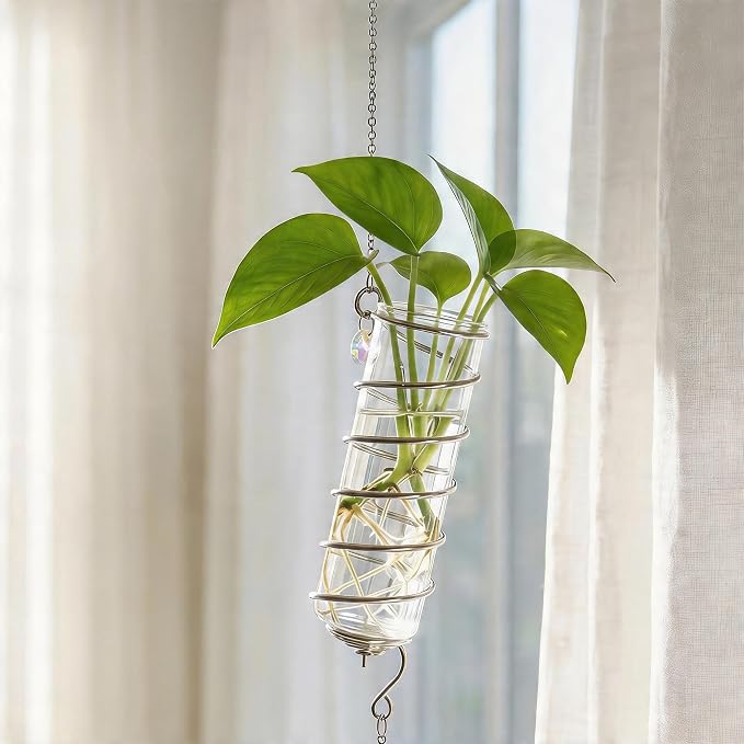 6Pcs Wall Hanging Glass Propagation Station with Crystal Planter Suncatcher | Hanging Propagation Vases for Wall Indoor Plants Hydroponics Mini Test Tube Flower Vase with Metal Chain for Home Decor