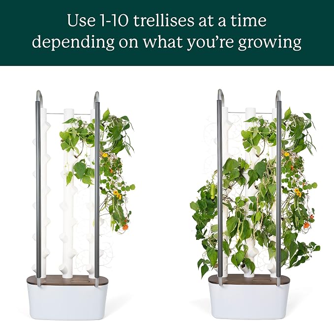 Gardyn Trellis - 5 Pack, Supports Vining Indoor Plants | Hydroponics growing system accessory for use with all Gardyn vertical indoor garden systems and tower gardens