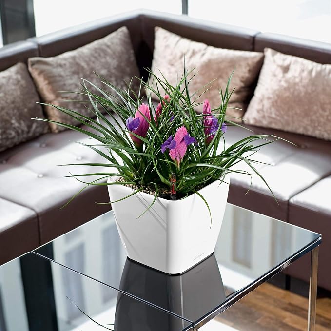 Lechuza Quadro LS 21 Black High Gloss, Self-Watering Square Planter, H7.9 L8.3 W8.3 in