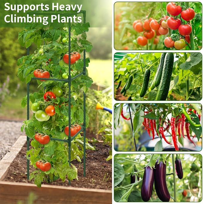 ROADPLUM 3 Pack 48" Tomato Cage for Garden, Heavy Duty Adjustable Plastic Coated Steel Pipe Tomato Stakes Trellis Plant Cages for Vegetable, Fruit, Flower, Rose Vine Climbing Plants