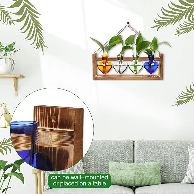 Plant Propagation Stations Heart Plant Terrarium Kit | Gift for Women Plant Lover Glass Vases