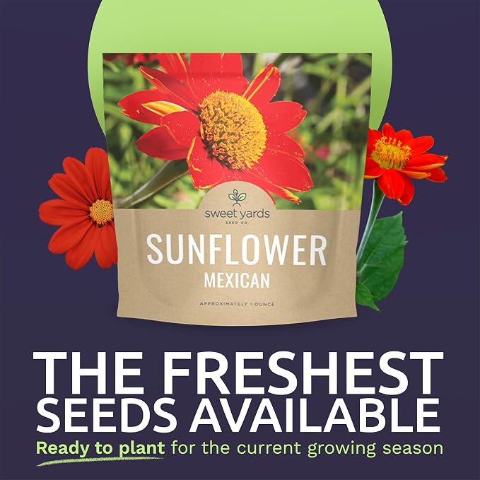 Mexican Sunflower Seeds – Extra Large Packet – Over 2,500 Open Pollinated Non-GMO Wildflower Seeds – Tithonia rotundifolia