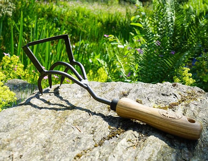 DeWit Culti-Weeder with Short Handle