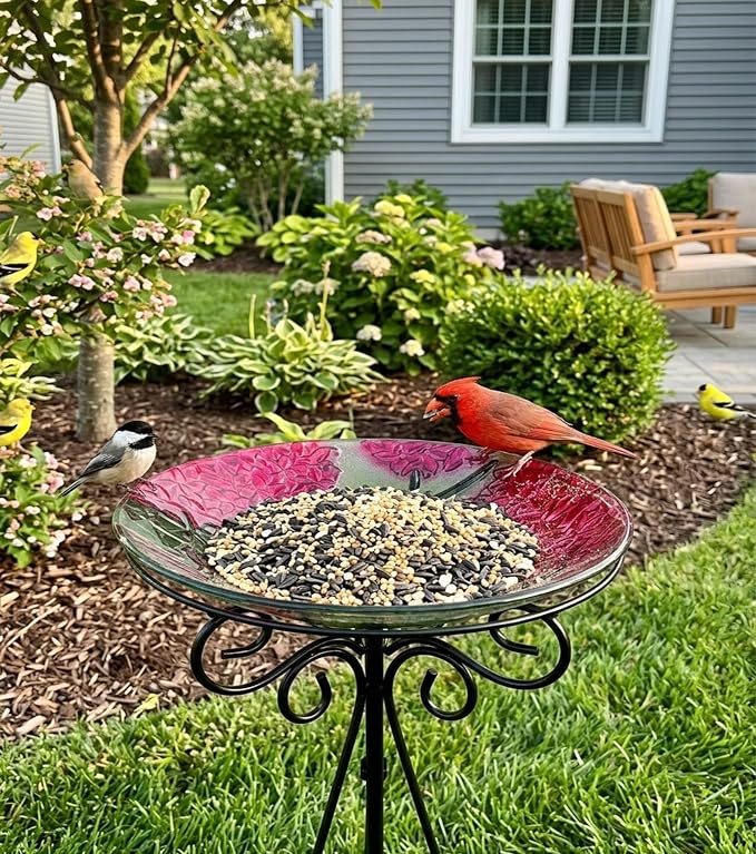 Large Bird Bath for Outside, 18" D Glass Bath Bowl with Metal Stand 28" H Standing Outdoor Birdbaths for Garden Yard Lawn Decor, Hummingbird-Red-New