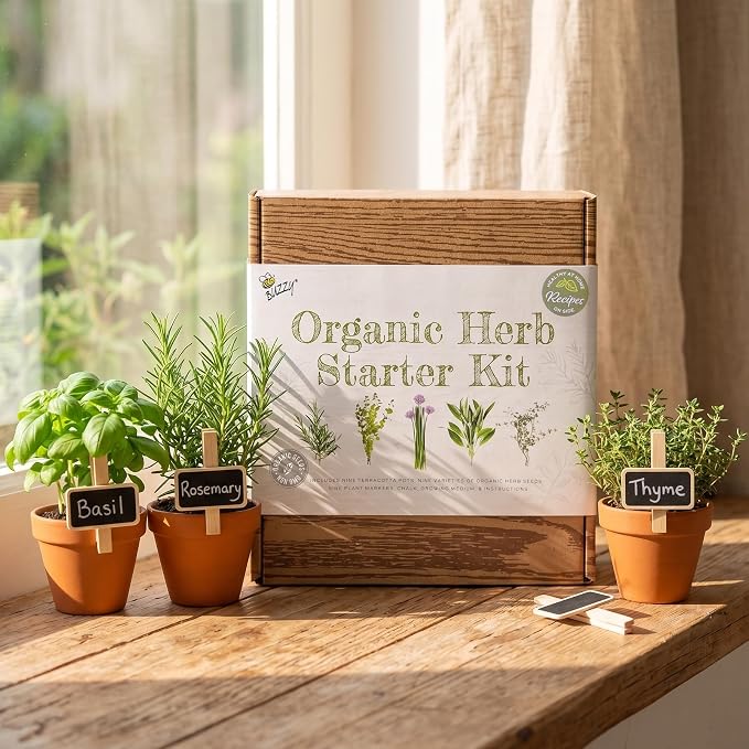 Buzzy Seeds Organic Herb Garden Kit 9-Pack - Mini Terracotta Pot Grow Set - Complete Indoor/Outdoor Gardening Kit with Seeds, Coconut Husk Growing Medium & Genuine Pots - 100% Grow Guarantee