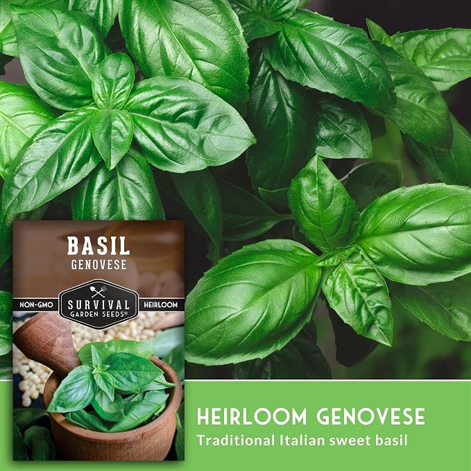 Genovese Basil Seeds for Planting – Survival Garden Seeds (1 Pack) | Sweet Italian Herb for Pesto & Culinary Dishes – High Germination Heirloom, Non-GMO Seed for Growing Indoors or Outdoors