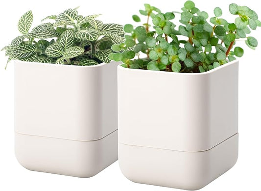 Phoenix Vine 4.5 Inch Wall Mounted Self-Watering Planter Pot for Indoor Houseplants and Herbs | Hanging Planter for Window Sills, Bathroom Walls, Home & Office Décor, Oatmeal, Set of 2, 01-B-G-2
