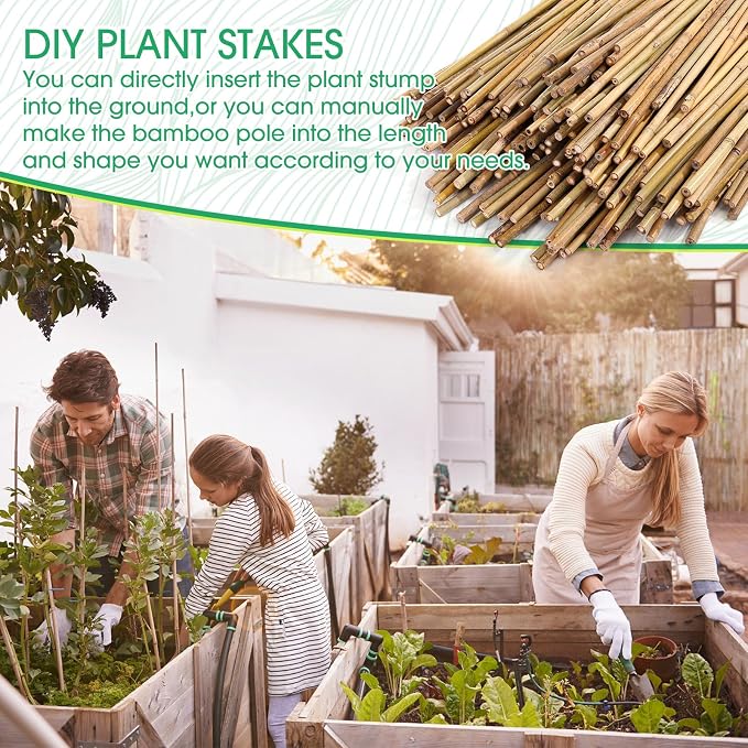 Suclain 300 Pcs Bamboo Plant Stakes Natural Garden Support Sticks for Climbing Plants Sturdy Bamboo Garden Stakes for Tomato, Beans, Flowers and Potted Plants, Vegetables, Indoor & Outdoor (2 ft)