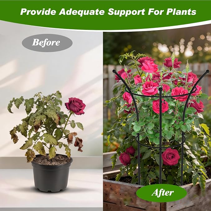 4 Pack Peony Cages and Supports, 12.5" Dx24 H Plant Supports for Outdoor Plants, Double-Ring Metal Peony Support Cage, Natural Bouquet Shape Plant Support Rings for Rose Tomato Hydrangea Strawberry