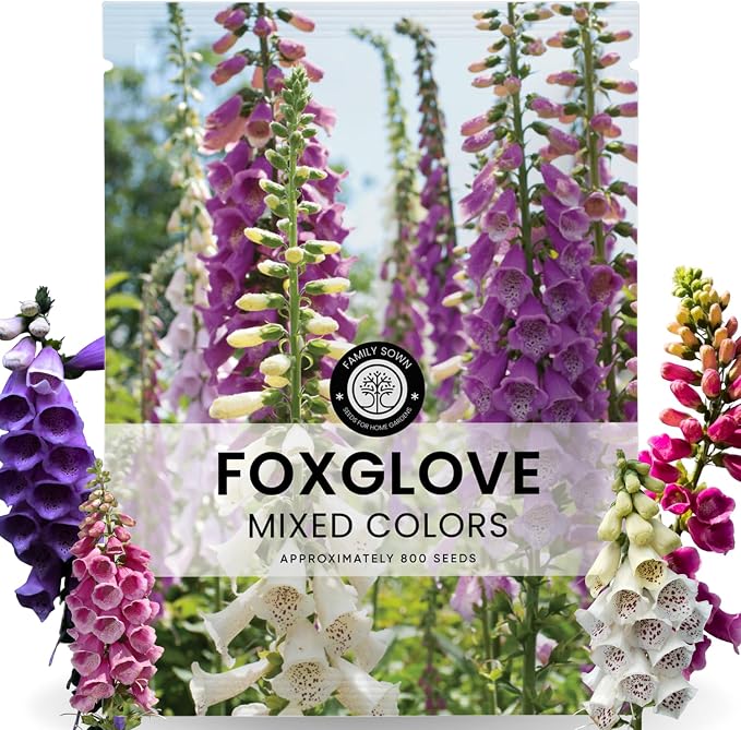 Foxglove Mixed Colors – 800 Seeds for Planting – 2026 Season – 5 Gram Pouch