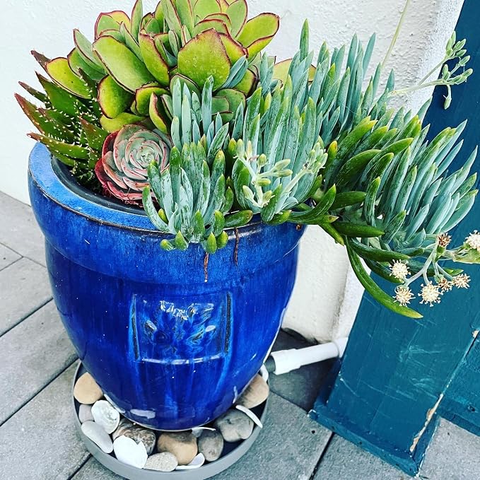 Drain Away Grey 22 inch Plant Saucer Heavy Duty Drain Tray for Large Pots Indoor Outdoor Waterproof UV Resistant | Protect Floors Decks | 12in 15in 22in | White Gray Terra Cotta Black