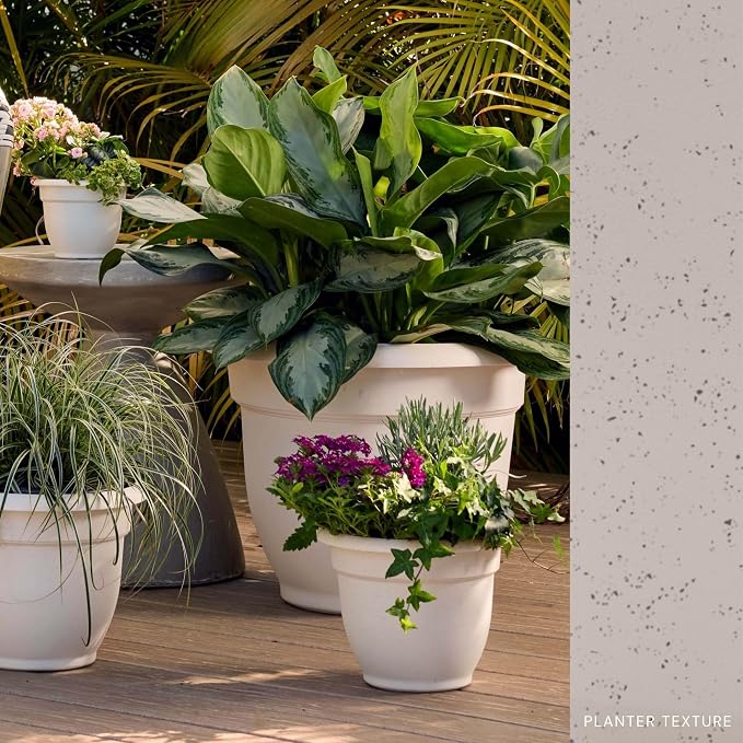 Bloem Ariana 16" Self-Watering Plastic Planter - Rolled Rim Indoor/Outdoor Garden Pot, Vanilla Bean