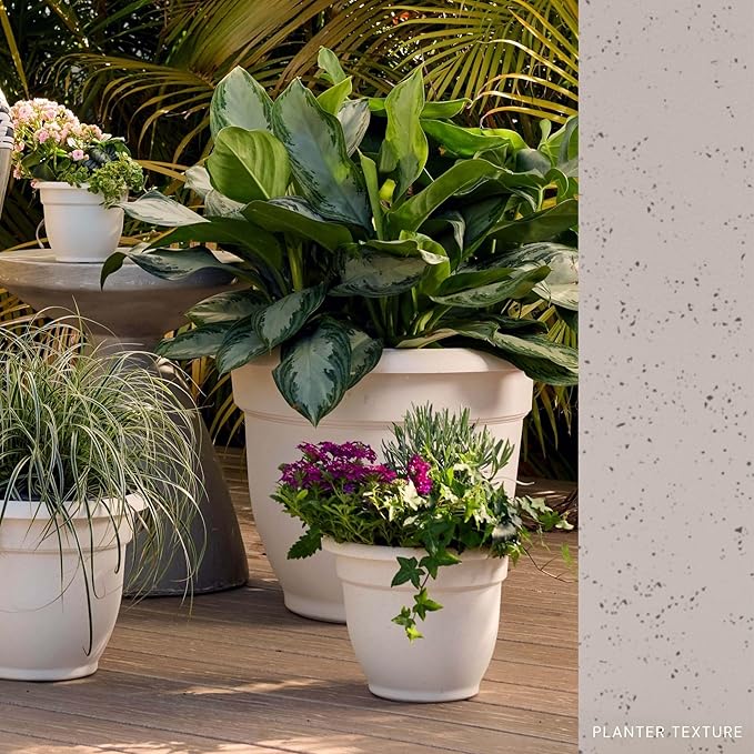 Bloem Ariana 10" Vanilla Bean Round Self Watering Planter Pot - Rolled Rim Plastic Resin Indoor or Outdoor Gardening Planter with Drainage Holes, Made in USA