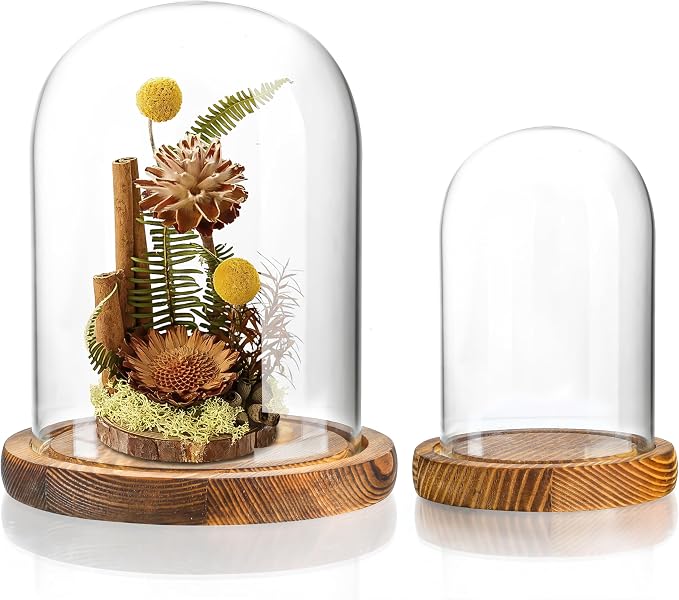 ZEERSHEE 2pcs Glass Display Dome Cloche with Wooden Base for Home Wedding Party Decor (3.9 x 5.1in/5.7 x 6.9in)