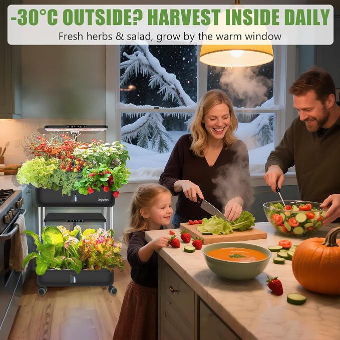 Large Hydroponics Growing System Kit,44-Pod with 3 Seed Packs | Includes Basil, Buttercrunch Lettuce & Gourmet Salad Mix seeds; 2-Tier, independent tanks and full-spectrum lights.