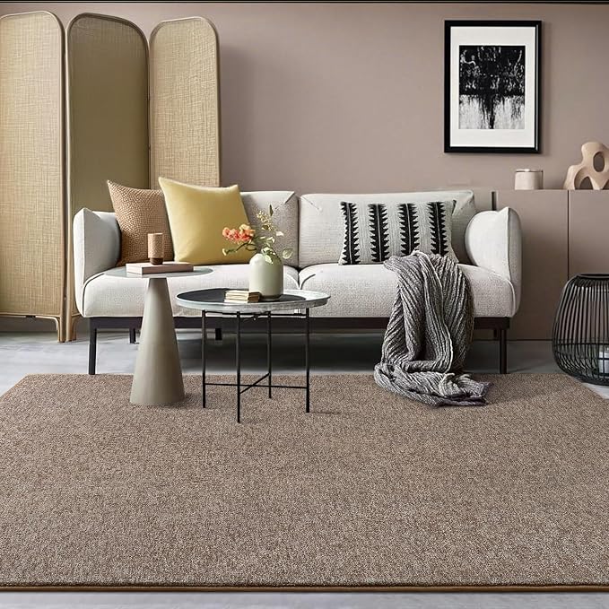 AROGAN 4x6 Area Rugs for Living Room Non Slip Dorm Bedroom Rug, Matte Brown | Modern Area Rugs with Soft Memory Foam, Minimalist Washable Indoor Floor Carpet for Dining Room Office Kids Playroom Decor