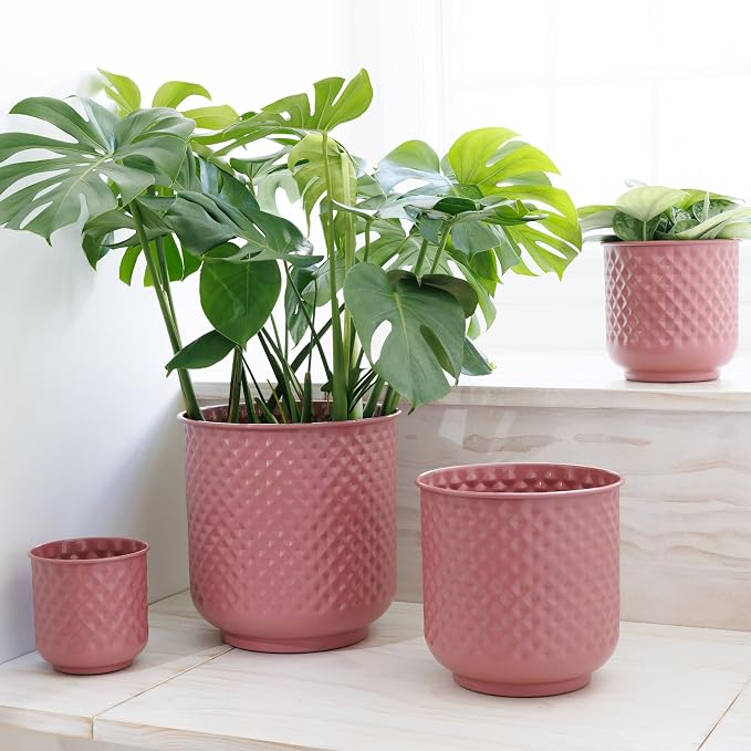 Bloem Prism Indoor Metal Cachepot Set - Includes 6", 8", 10" and 12" Decorative Planters with Powder-Coated Finish, Removable Drain Plugs, Dusty Rose