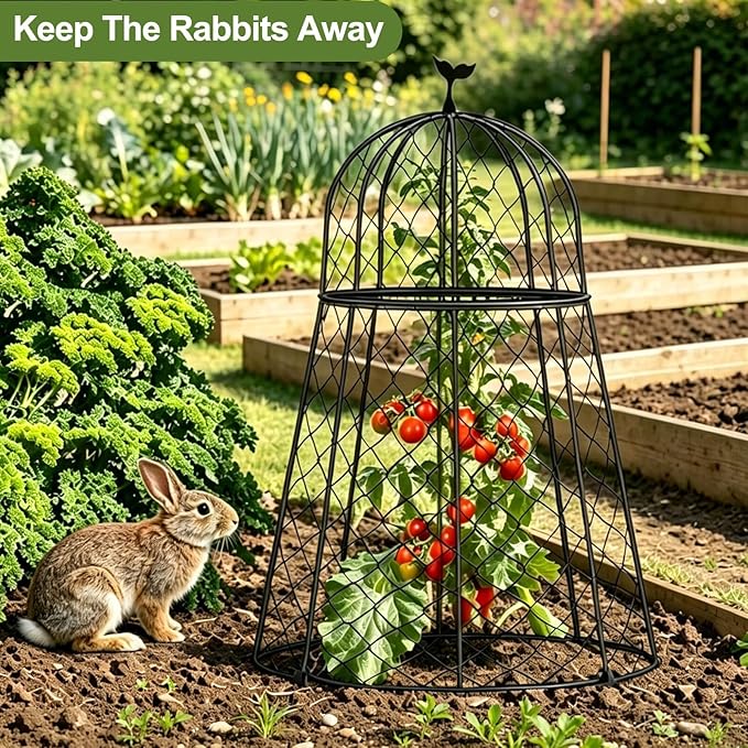 6 Packs Garden Cloches for Plants, Plant Protectors from Animals, Chicken Wire Cloche, Plant Cloche and Cage, Protection for Your Plants and Seedlings, 13" D x 20" H - Black
