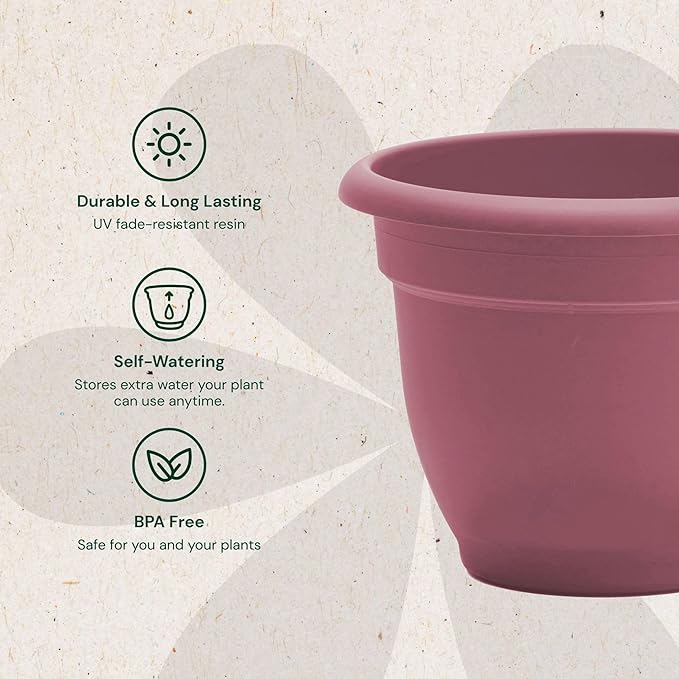 Bloem Ariana 10" Self-Watering Plastic Planter - Rolled Rim Indoor/Outdoor Garden Pot, Dusty Rose