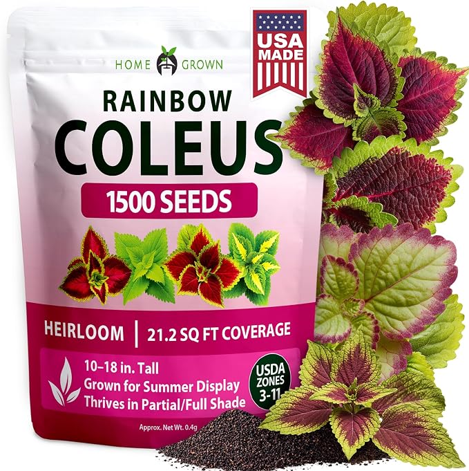 HOME GROWN Coleus Rainbow Seeds for Planting Spring 2026 – 1500 Count (0.04 oz) Plectranthus scutellarioides House Plant Seed, Annual/Perennial Multicolor Foliage Indoor & Shade Garden Flower Seeds