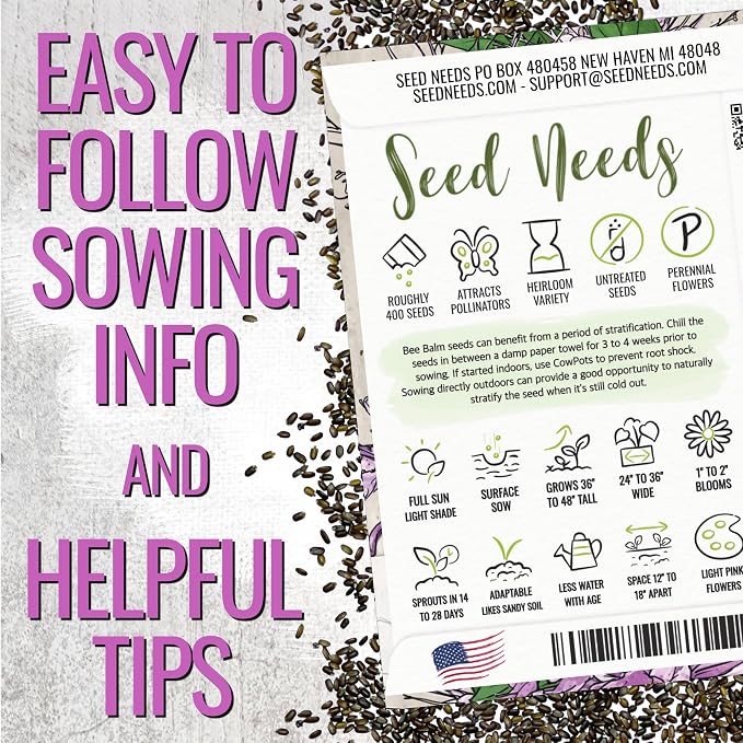 Seed Needs Wild Bee Balm Seeds to Plant Bergamot Perennial Flowers 1 Pack