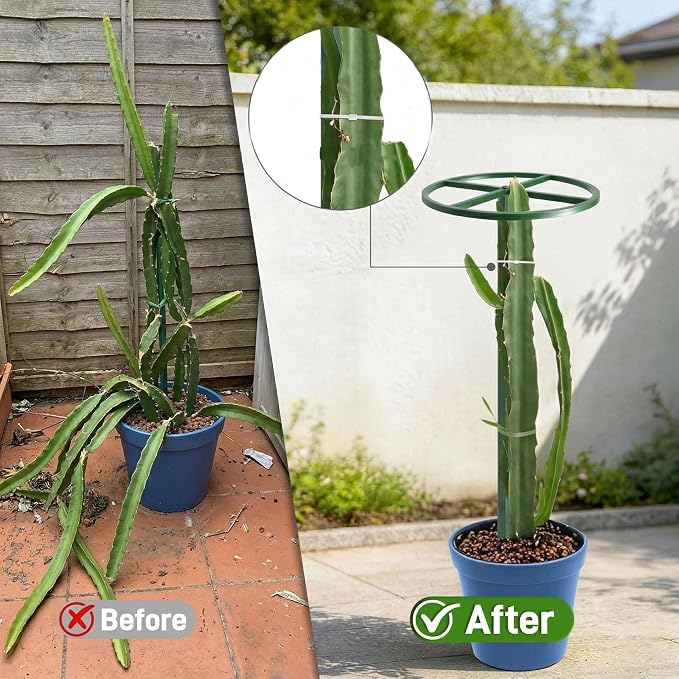 61" Adjustable Plant Trellis, Round Ring, Green | Round support ring design. Anti-tipping base fits inside pot. Modular heavy duty iron.