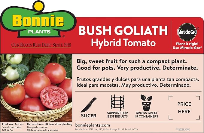 Bonnie Plants Bush Goliath Tomato, Live Plant, 19.3 oz., 4-Pack