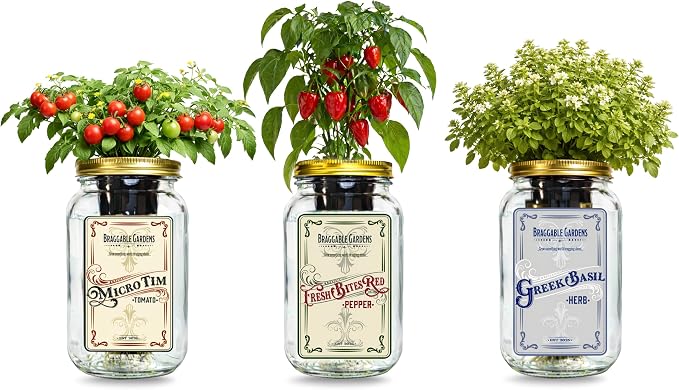 Italian Pizza Garden Mason Jar Kit (3 Pack) – Tiny Tim Tomato, Greek Basil & Mini Red Bell Pepper – Indoor Hydroponic Herb & Vegetable Grow Kit – Windowsill Pizza Garden