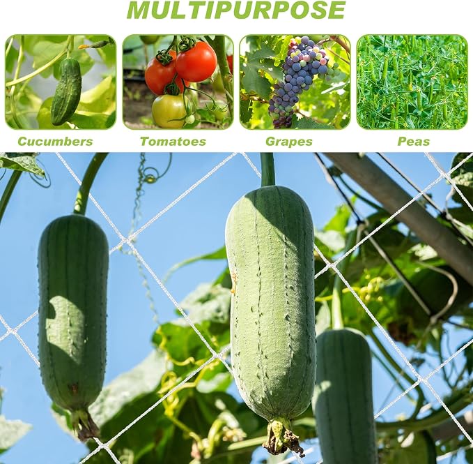 Berlune 6.5 x 700 ft Trellis Netting Roll Heavy Duty Nylon Garden Trellis Netting with 6 Inch Mesh Soft Plant Support Net for Climbing Plants, Grape Racks, Growing Support Bean, Pea, Tomatoes