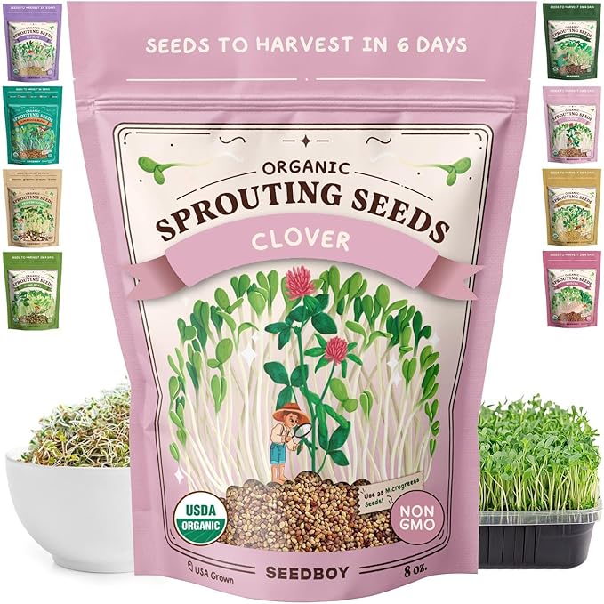 Seedboy Organic Non-GMO Clover Seeds for Sprouting - USA Grown Microgreens Sprouting Seeds - 8 oz Bag Makes 8 Quarts / 32 Servings (Red Clover)