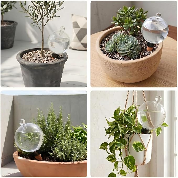 EX-Large Plant Watering Globes with Cover 26oz Top Fill Plastic Water Bulbs Self Watering Planter Inser, Slow Release Terracott, Plant Watering Devices for Plants, 6 Pack