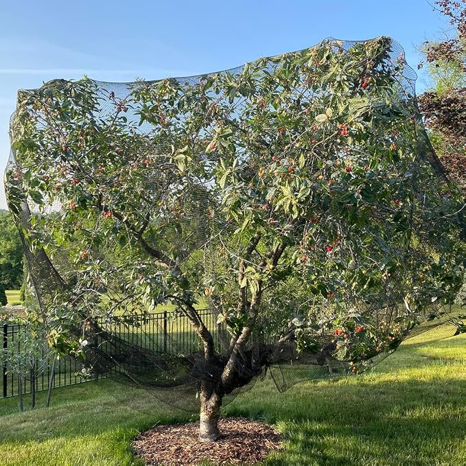 Bird Netting for Chicken Coop 50x100 Ft, 1" Mesh, Strong Woven Poultry Netting Roof Cover for Chicken Run, Heavy Duty Bird Net for Fruit Trees, Blueberry, Vegetables, Garden Protection
