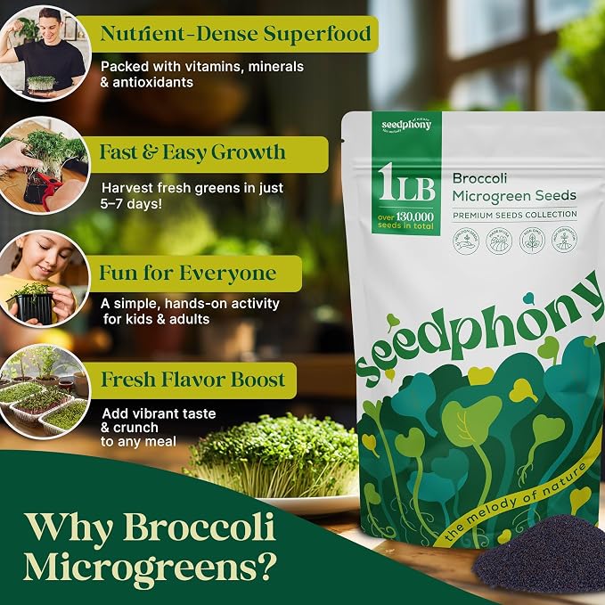 Seedphony Broccoli Sprouting & Microgreens Seeds - 130,000 Non-GMO Heirloom Seed, 1lb Resealable Bag - High-Germination Broccoli Seeds for Sprouting in Jars, Soil, Hydroponics & Microgreen Trays