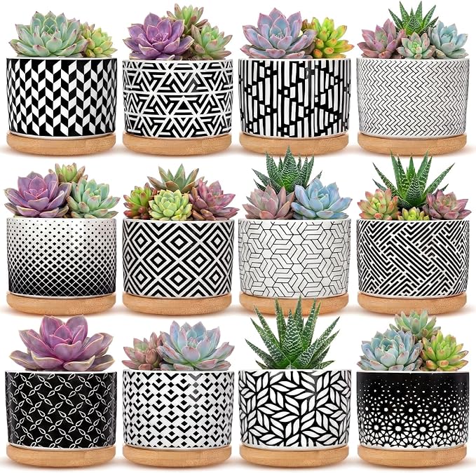 Threehoney 12 Pack 3.14 Inch Ceramic Succulent Pots Geometric Pattern Small Succulent Plant Pots with Drainage Hole and Bamboo Trays Mini Flower Cylinder Pot for Small Plant Cactus Home Office Decor
