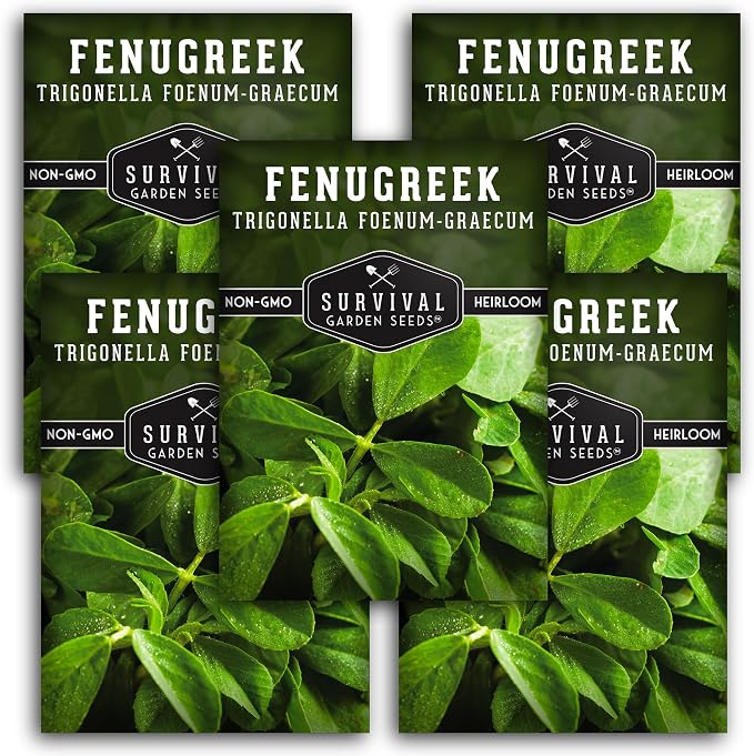 Fenugreek Seeds for Planting - Heirloom Methi Herb for Microgreens, Leaves, and Spice Seed Harvests - Non-GMO Garden Seed - Survival Garden Seeds (5 Packs)