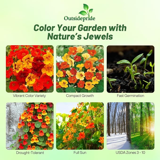Outsidepride Jewel Mix Nasturtium Seeds - 5 lbs. Annual, Easy to Grow & Versatile, Flower Seeds for Planting Vibrant Blooms, Ideal for Gardens, Borders, and Pollinator Gardens