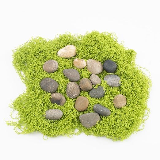 20 LBS Natural River Rocks - 1/2-1 inch Pebbles, Screened Decorative River Stones for Landscaping, Garden Pathway, Plant Stones, Craft Walkways, and Outdoor Decorative