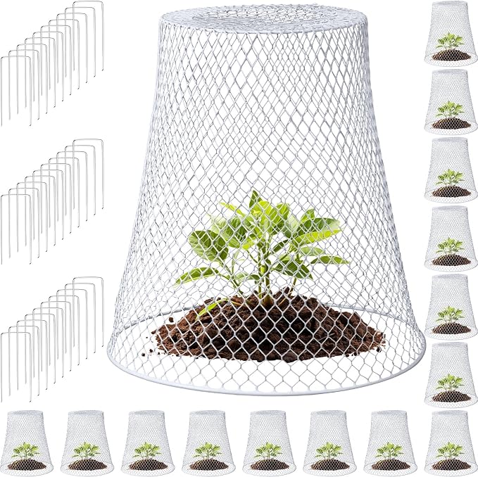 Therwen 15 Pcs Large Plant Wire Cloche 11 x 12 Inch Metal Garden Cloche with Garden Stakes Plant Protector from Animals for Keeping Bunnies Chicken Squirrels Birds (White)