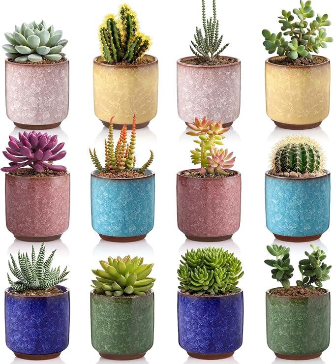 12 Pack 2.36 Inch Small Ceramic Succulent Planter Pot with Drainage Hole, Mini Ice Crack Glaze Flower Pots for Indoor Succulent Planters for Cactus Plant Lover Gifts for Women Mom Coworker