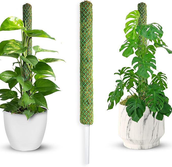 DUSPRO Green Mesh Moss Pole for Plants Climbing Vine Supporting Monstera Trellis, for Indoor Plants Plant Pole Moss Sticks, for Plants Monstera Potted Plant Stakes, 1 Pc 22''