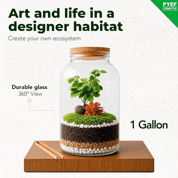 Terrarium Kit for Plants DIY (1 Gallon) | Starter Pack – Closed Ecosystem – 1 Gal Glass – Succulents, Air Plants, Bonsai, Indoor Plants – (Plants Not Included)